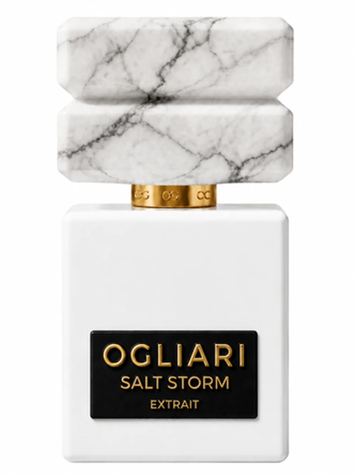 SALT STORM
